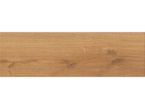 Orginal Wood Dark Brown Matt 18,5X59,8 padló