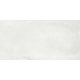 Ferrocemento Bianco NAT/RET 60x120 padló