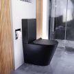 Wc Dolphin Matt Black mély öblítésű fekete monoblokkos hátsó kifolyású Slim "F" tetővel és fényes króm kiegészítőkkel + tartály