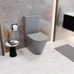 Wc Dolphin Matt Grey mély öblítésű, monoblokkos, hátsó kifolyású slim "P" tetővel és fényes króm nyomógombbal + tartály