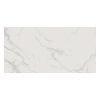 Vijo Arya 30x60 csempe (CCR174 )